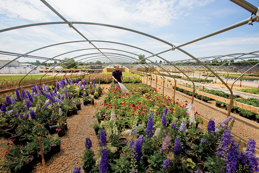 floriculture