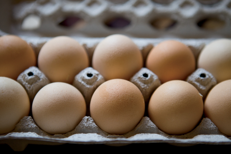 eggs