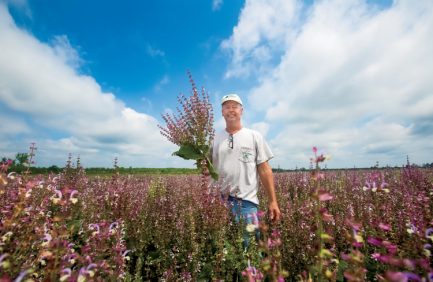 Mike Parrish in sage farm