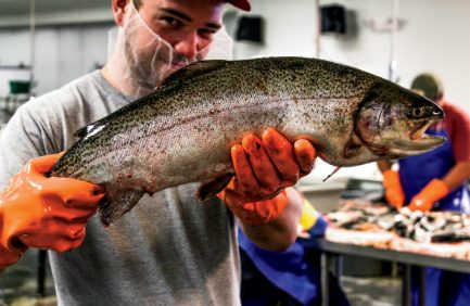 Photo courtesy of Sunburst Trout Farms