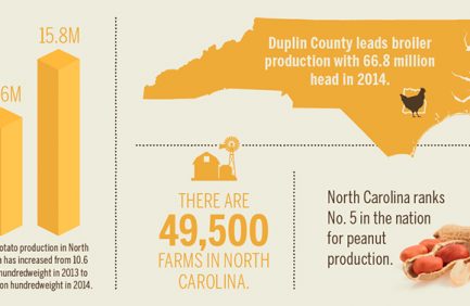 North Carolina ag [INFOGRAPHIC}