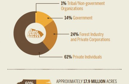 Nebraska timber [INFOGRAPHIC]