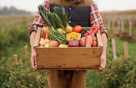 Farm fresh vegetables