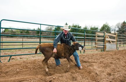Oklahoma rodeo