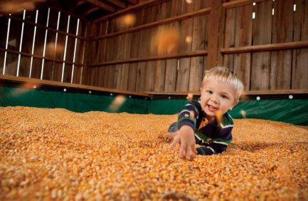 Alabama Agritourism, Tate Farms, Meridianville