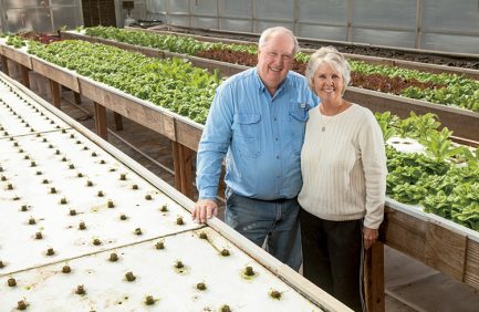 agritourism