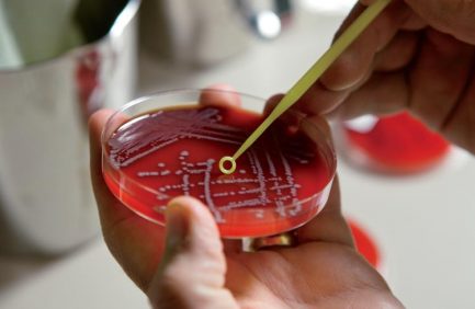 food safety lab at Tennessee department of ag
