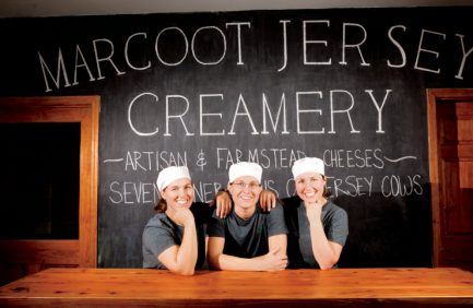 Marcoot Jersey Creamery