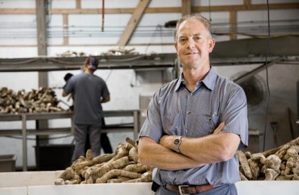 Illinois Horseradish Producer
