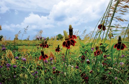 indiana soil conservation