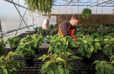 Indiana FFA