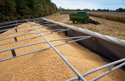 Indiana corn