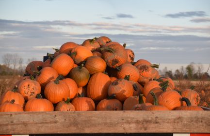 Fischer Farms, Missouri