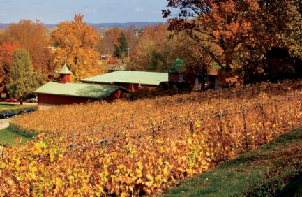 Missouri Wine