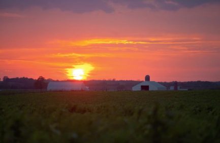 Missouri Agriculture