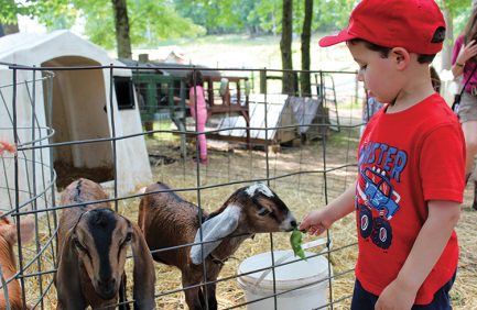 virginia agritourism