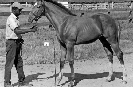 Secretariat