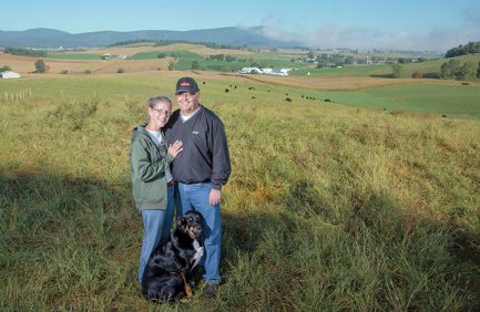 virginia animal care