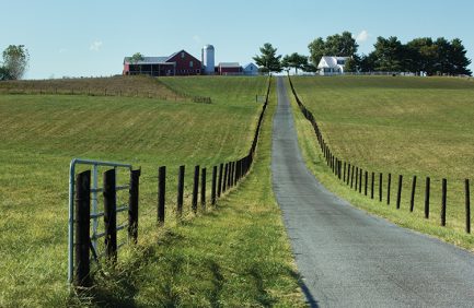Virginia agriculture