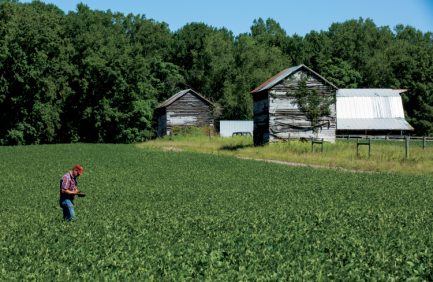 Century Farm