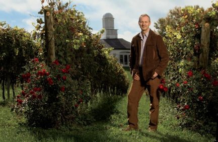 Virginia Wine Industry