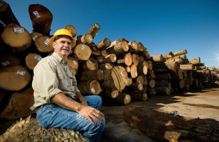 Virginia Forestry