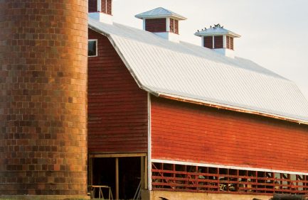 Virginia Agriculture