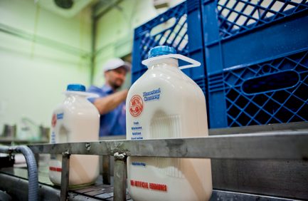 Dairy, Homestead Creamery