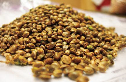 Industrial Hemp