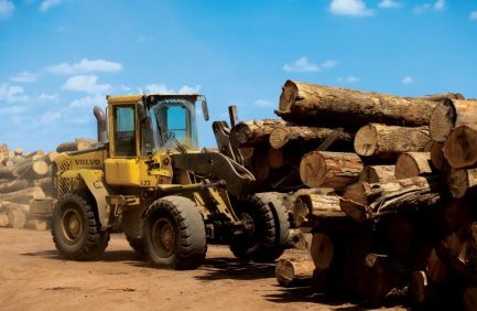 Kentucky Lumber and Timber Industry