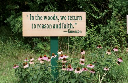 South Carolina Stewardship