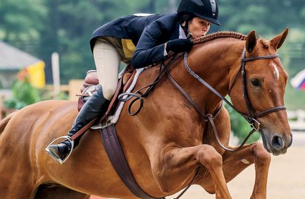 South Carolina horse jumping