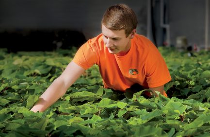 South Carolina FFA