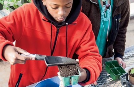 farm to school