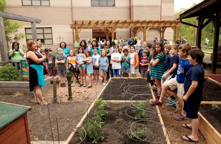 Feed My School Program