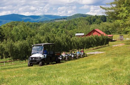 Children enjoy a variety of fun, agricultural activities at Hillcrest Orchards owned by Lynn and Janice Hale