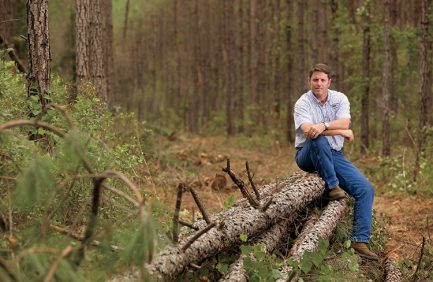 georgia forestry