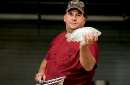 Georgia Tilapia Farm in Valdosta
