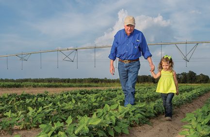 Georgia Agriculture