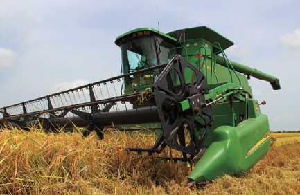 Arkansas checkoff rice