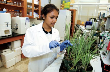 Arkansas ag research