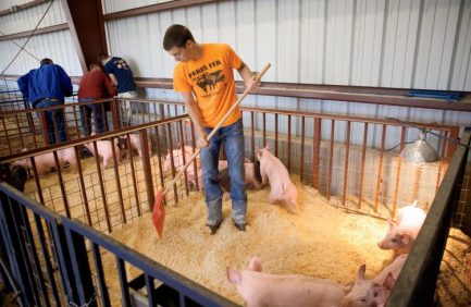 Arkansas Agricultural Education