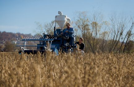 Soybean Research
