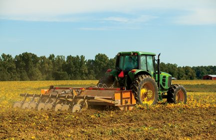 Landreth Farms, Mississippi Sweet Potato