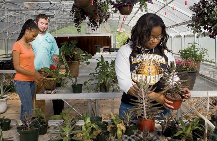 Georgia agriculture education