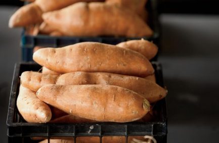 Arkansas Sweet Potatoes