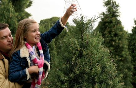 Christmas tree