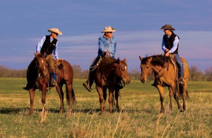Oklahoma Agriculture