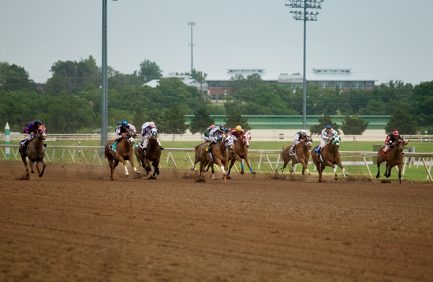 Horse Racing