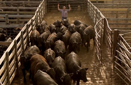 Oklahoma National Stock Yards